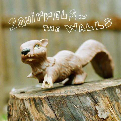 Squirrels in the Walls