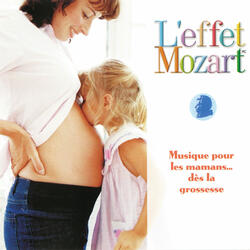 Largo-Allegro, from the Divertimento in D Major, K. 205