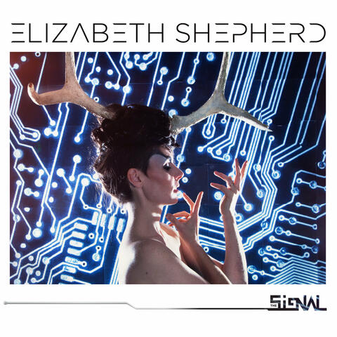 The Signal