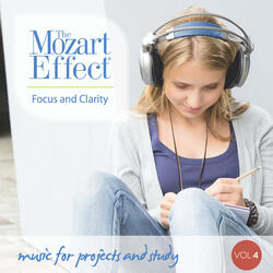 Violin Sonata in B flat, K. 378: II. Andantino