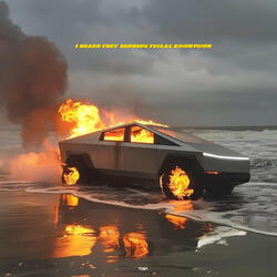 I Heard They Burning Teslas Downtown