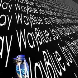 Blue Jay Way