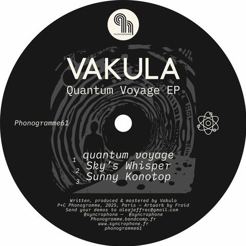Quantum Voyage