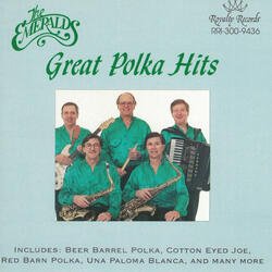 I Want To Learn To Polka