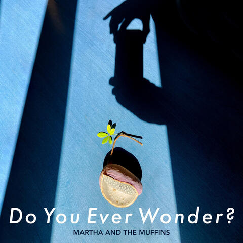 Do You Ever Wonder?