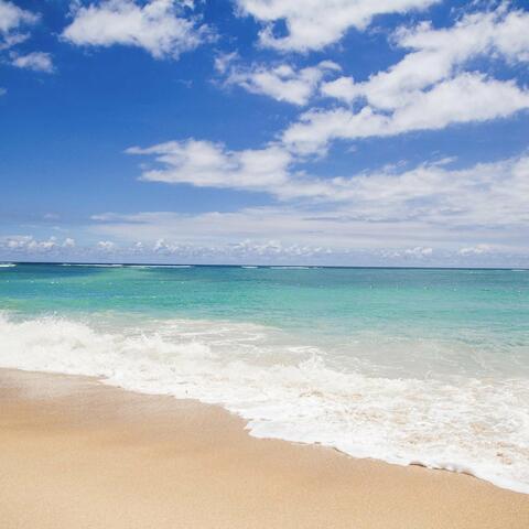 Soothing Brown Wave Sounds
