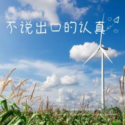 不说出口的认真