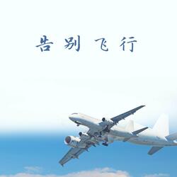 告别飞行