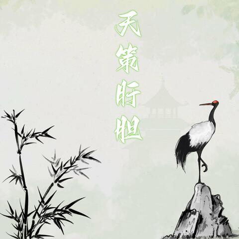 天策肝胆