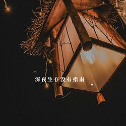 深夜生存没有指南