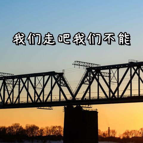 我们走吧，我们不能