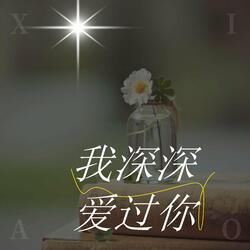 我深深爱过你