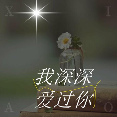 我深深爱过你