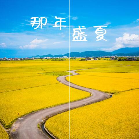 那年盛夏