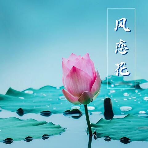 风恋花