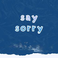say sorry