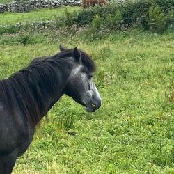 Vaker gezegd (akoestisch)