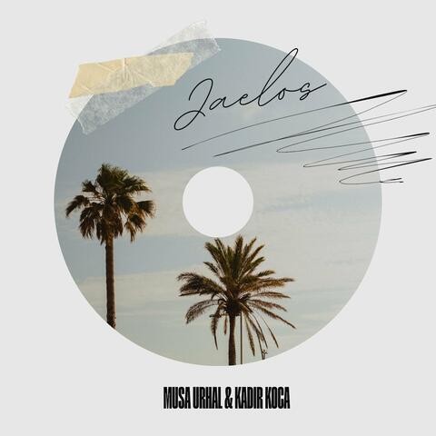 Jaleos