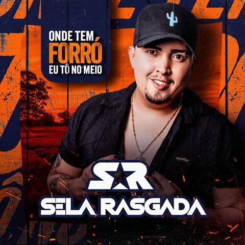 Onde Tem Forró Tô no Meio