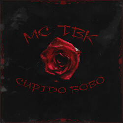 Cupido Bobo
