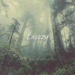 Breezy (feat. MC Julio D.E.R.)
