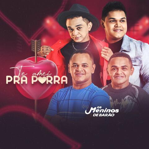 Te Amei pra Porra