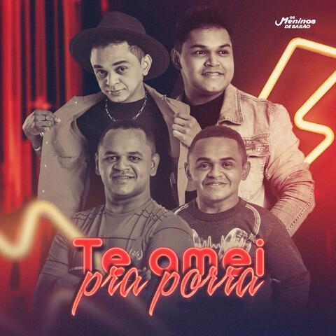 Te Amei pra Porra