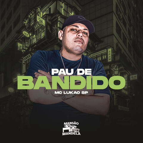Pau de Bandido