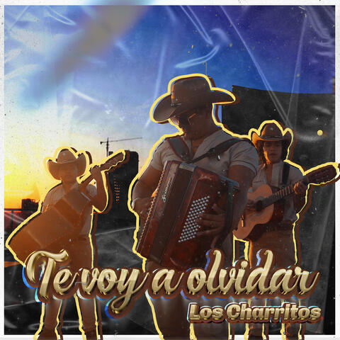 Te Voy a Olvidar