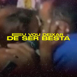 Eu Vou Deixar de Ser Besta (Remix)