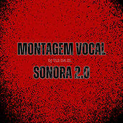 Montagem Vocal Sonora 2.0
