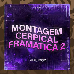 Montagem Cerpical Framatica 2