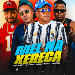 Mel na Xereca (feat. Zoinho no Beat)