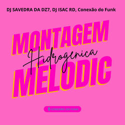 Montagem Hidrogenica Mélodic [Slowed + Reverb]