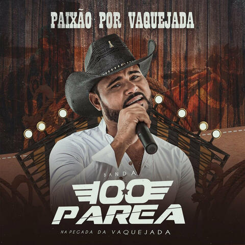 Paixão por Vaquejada