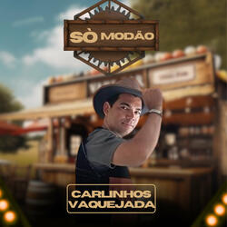 Se Eu Não Puder Te Esquecer