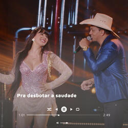 Pra Desbotar a Saudade (Ao Vivo)