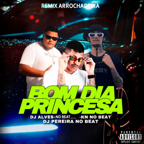 Bom Dia Princesa (Remix Arrochadeira)