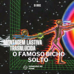 Montagem Lástima Translúcida o Famoso Bicho Solto