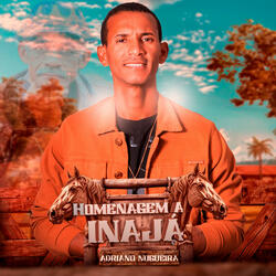 Homenagem a Inajá