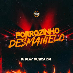 Forrozinho Desmantelo