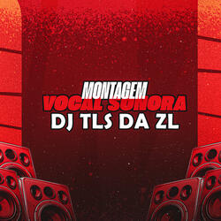 Montagem Vocal Sonora