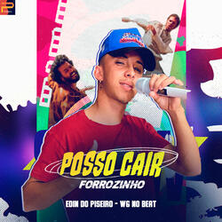 Forrozinho Posso Cair