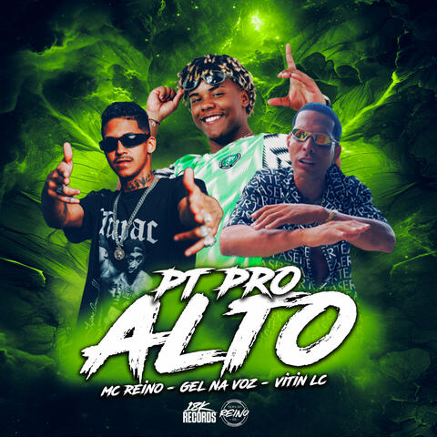PT Pro Alto