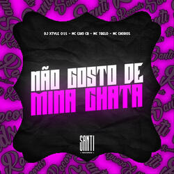 Não Gosto de Mina Chata