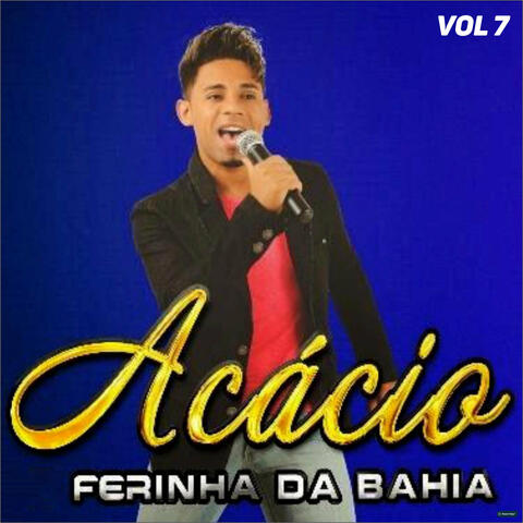 Ferinha da Bahia, Vol. 7