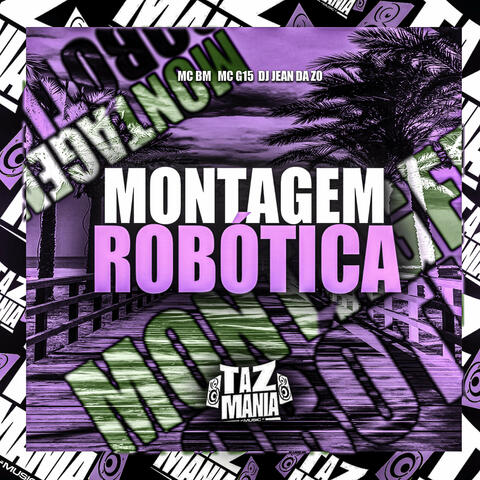 Montagem Robótica