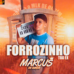 Forrozinho Tua Ex