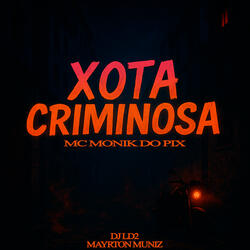 Xota Criminosa