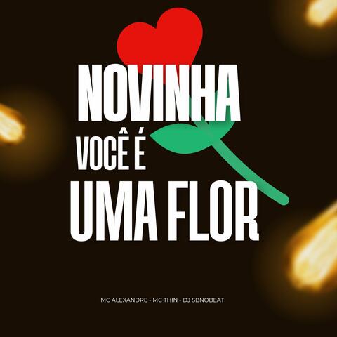 Novinha Você É uma Flor